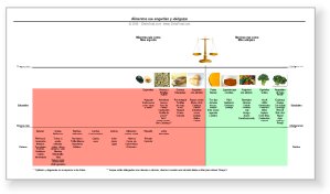 Calorías Negativas - ¿Qué son realmente? Calorías Negativas - ¿Qué son realmente?